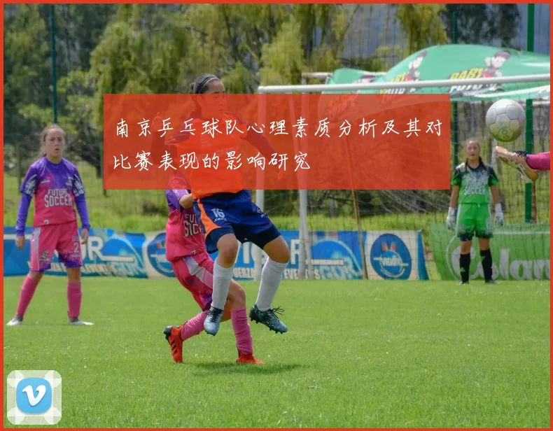 南京乒乓球队心理素质分析及其对比赛表现的影响研究