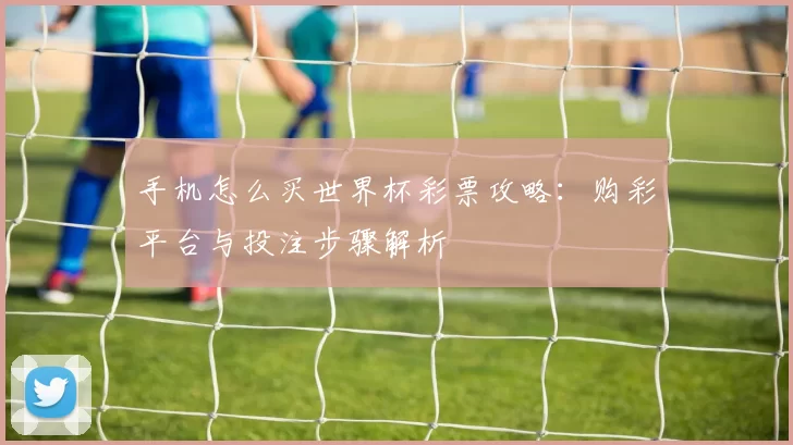 手机怎么买世界杯彩票攻略：购彩平台与投注步骤解析