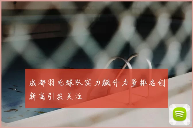 成都羽毛球队实力飙升力量排名创新高引发关注