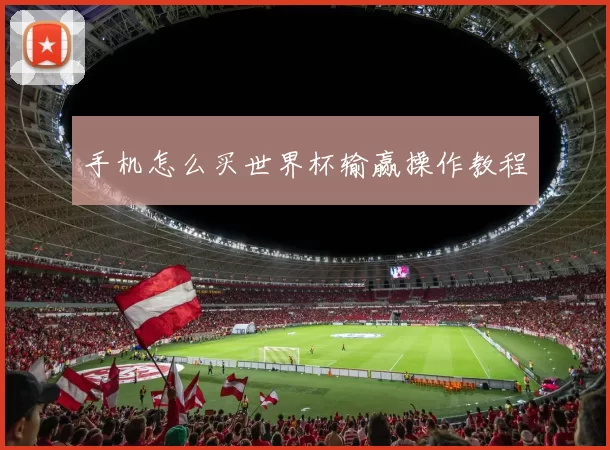 手机怎么买世界杯输赢操作教程