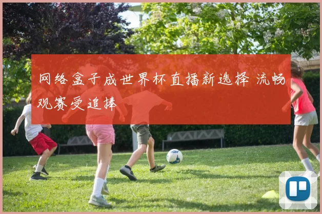 网络盒子成世界杯直播新选择 流畅观赛受追捧