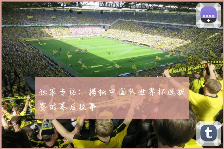 独家专访：揭秘中国队世界杯选拔赛的幕后故事