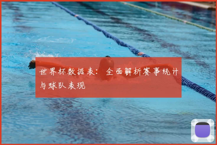 世界杯数据表：全面解析赛事统计与球队表现