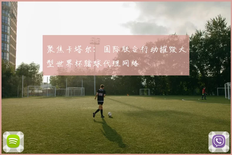 聚焦卡塔尔：国际联合行动摧毁大型世界杯赌球代理网络
