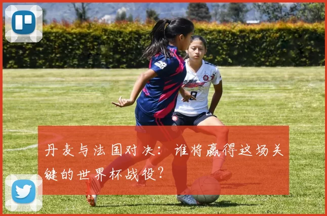 丹麦与法国对决：谁将赢得这场关键的世界杯战役？