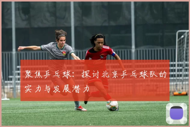聚焦乒乓球：探讨北京乒乓球队的实力与发展潜力