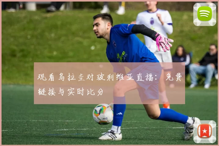 观看乌拉圭对玻利维亚直播：免费链接与实时比分