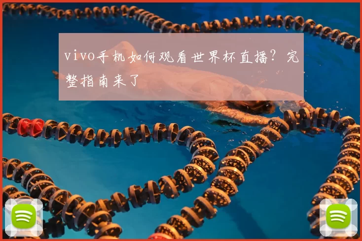 vivo手机如何观看世界杯直播？完整指南来了