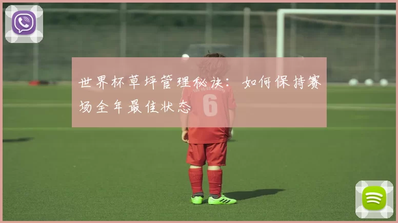 世界杯草坪管理秘诀：如何保持赛场全年最佳状态