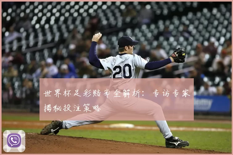 世界杯足彩赔率全解析：专访专家揭秘投注策略