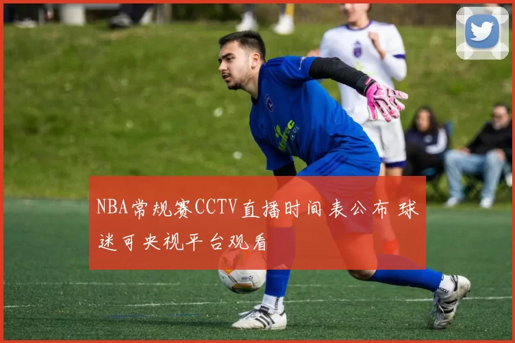 NBA常规赛CCTV直播时间表公布 球迷可央视平台观看