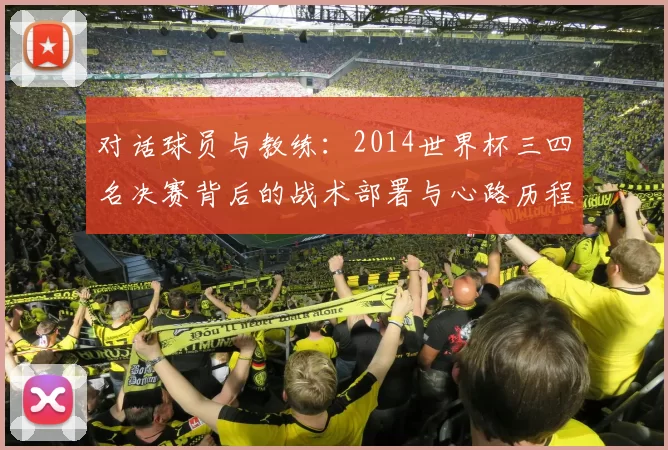 对话球员与教练：2014世界杯三四名决赛背后的战术部署与心路历程