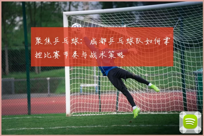 聚焦乒乓球：成都乒乓球队如何掌控比赛节奏与战术策略