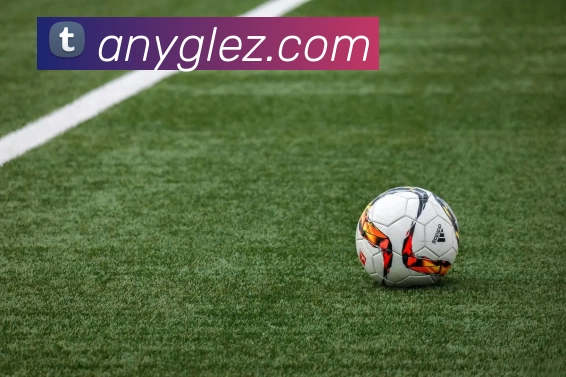 未来规划